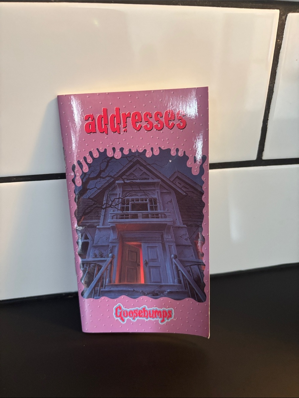 90’s Goosebumps Welcome to Dead House Address Book NWT
